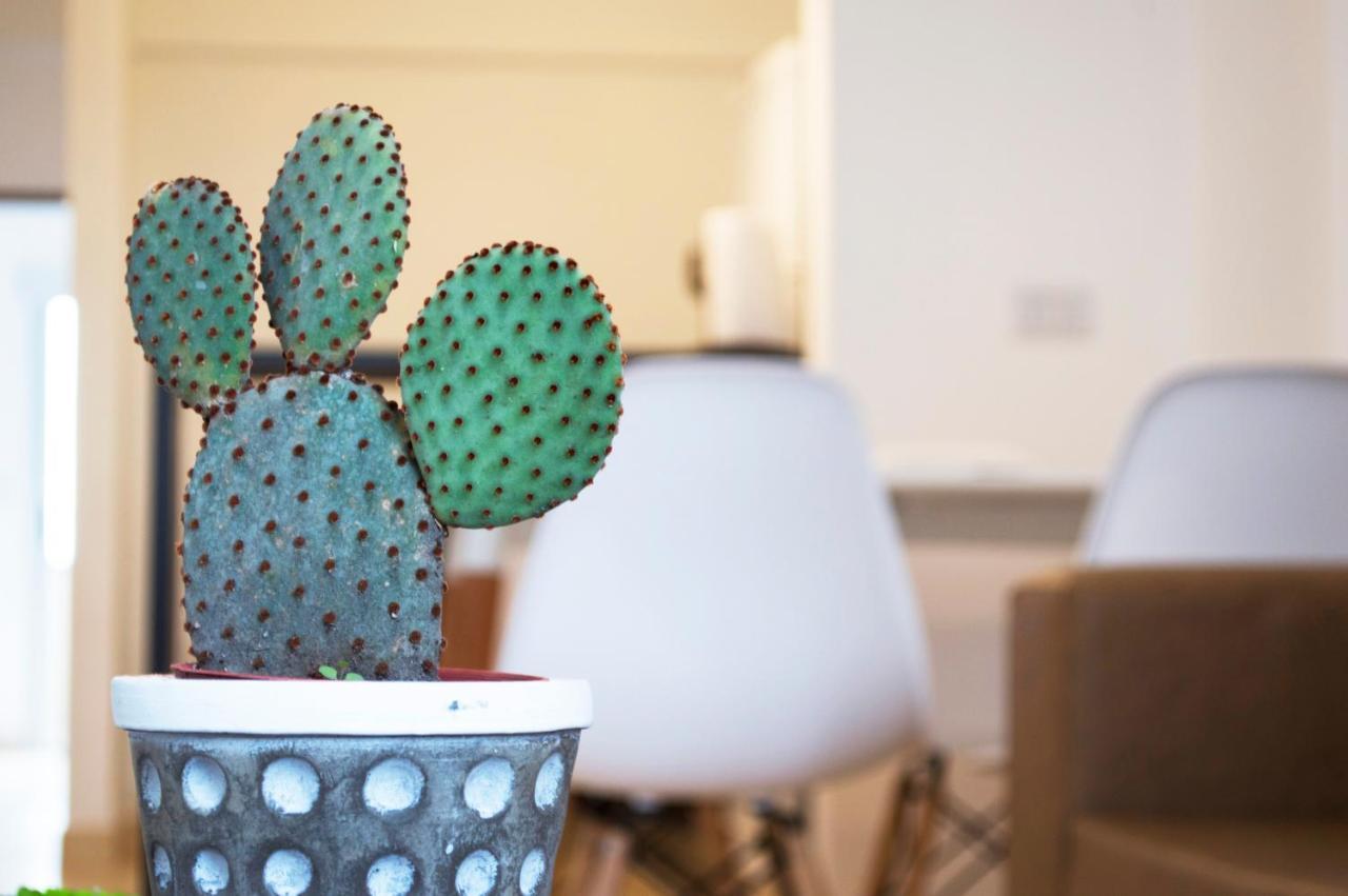 Апартаменты Cactus 2 Сальта Экстерьер фото